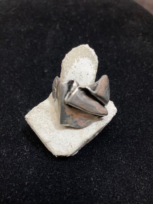 シルバーリング No.１